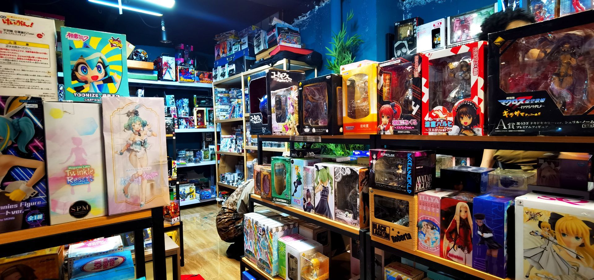 阿库西斯化猫中古(超洋花园店)