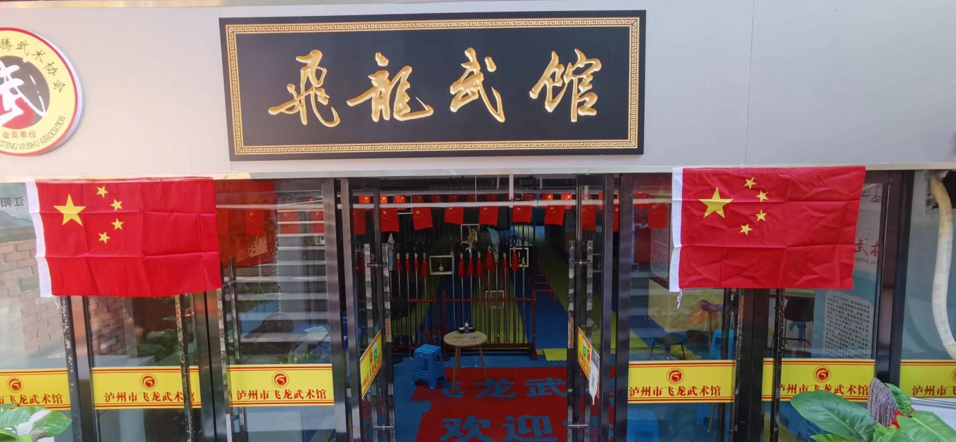 飞龙武术