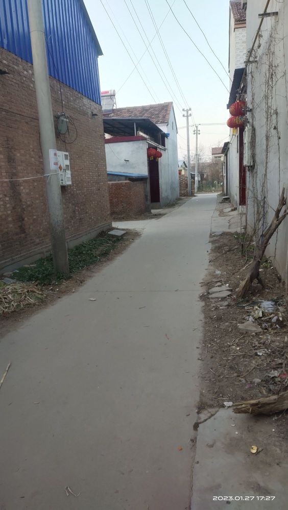 桃树集村