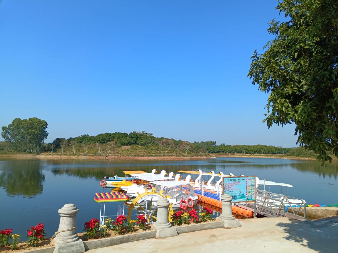 建国生态天鹅湖旅游区