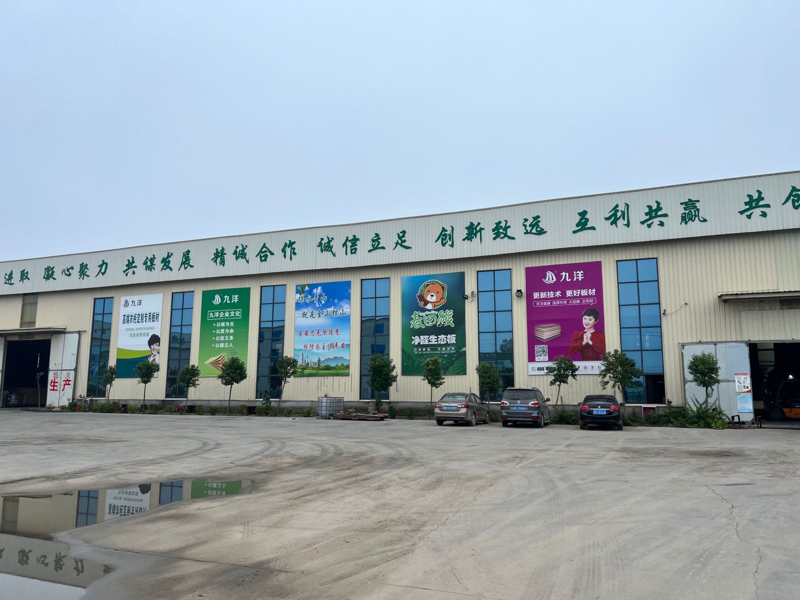 河南九洋木业有限公司