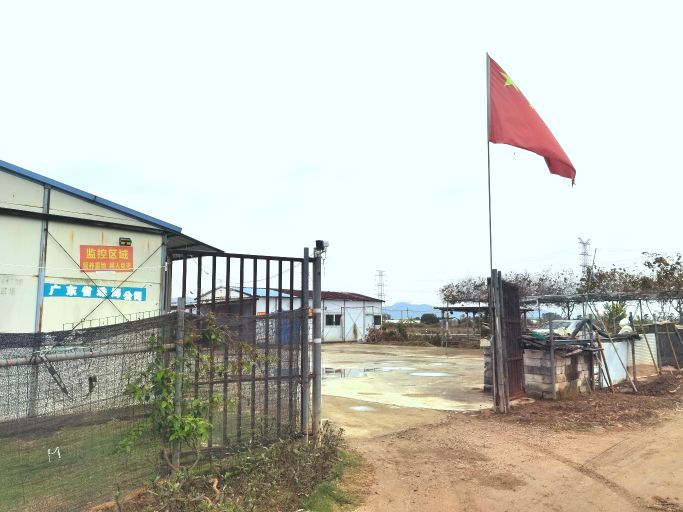 珠海高球草场