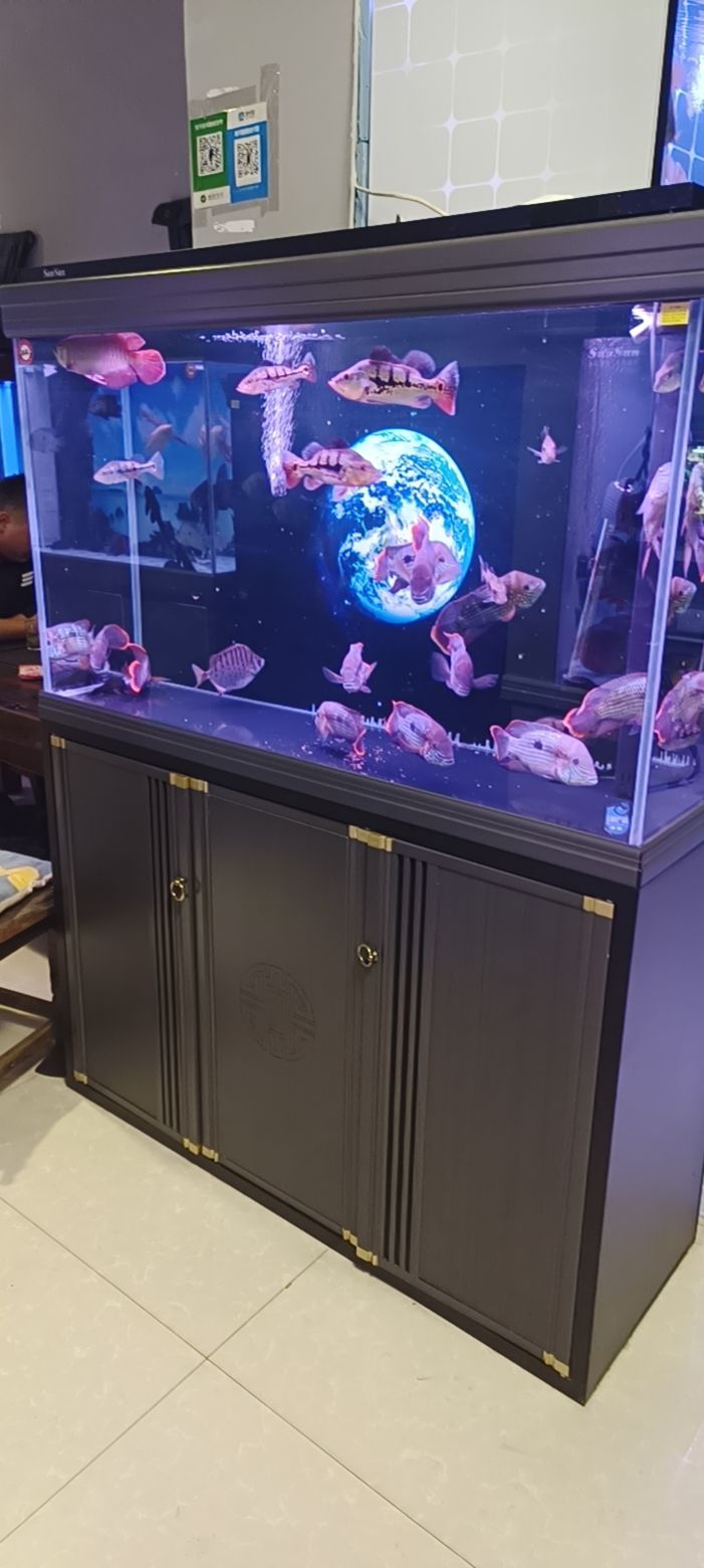 森森水族(嘉业路店)