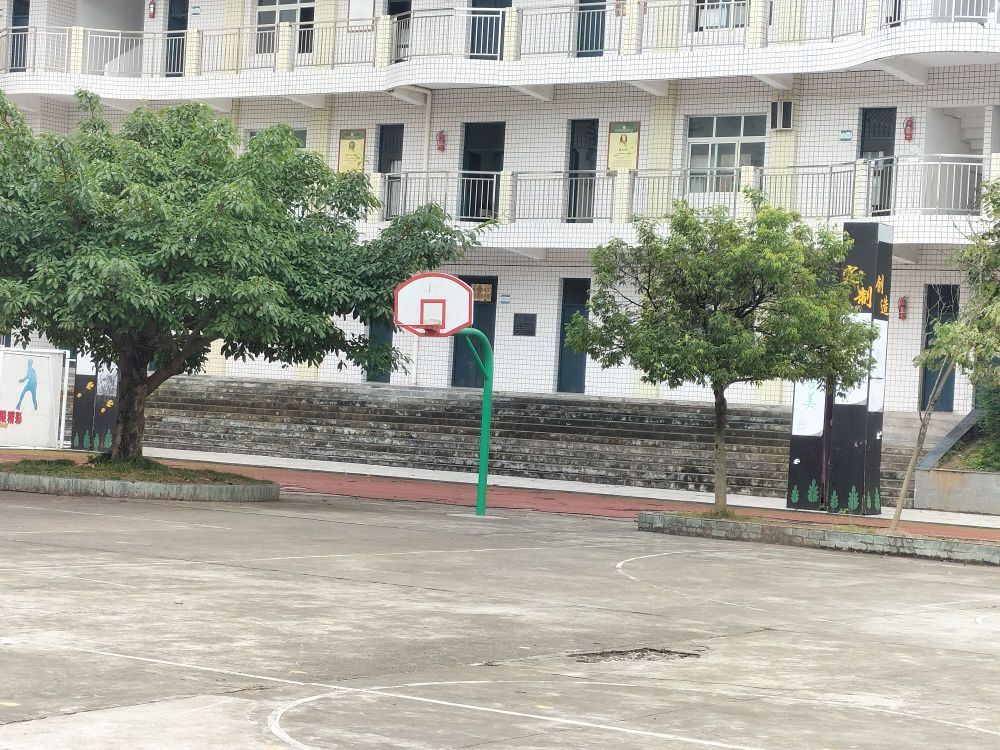 恩阳区观音井小学