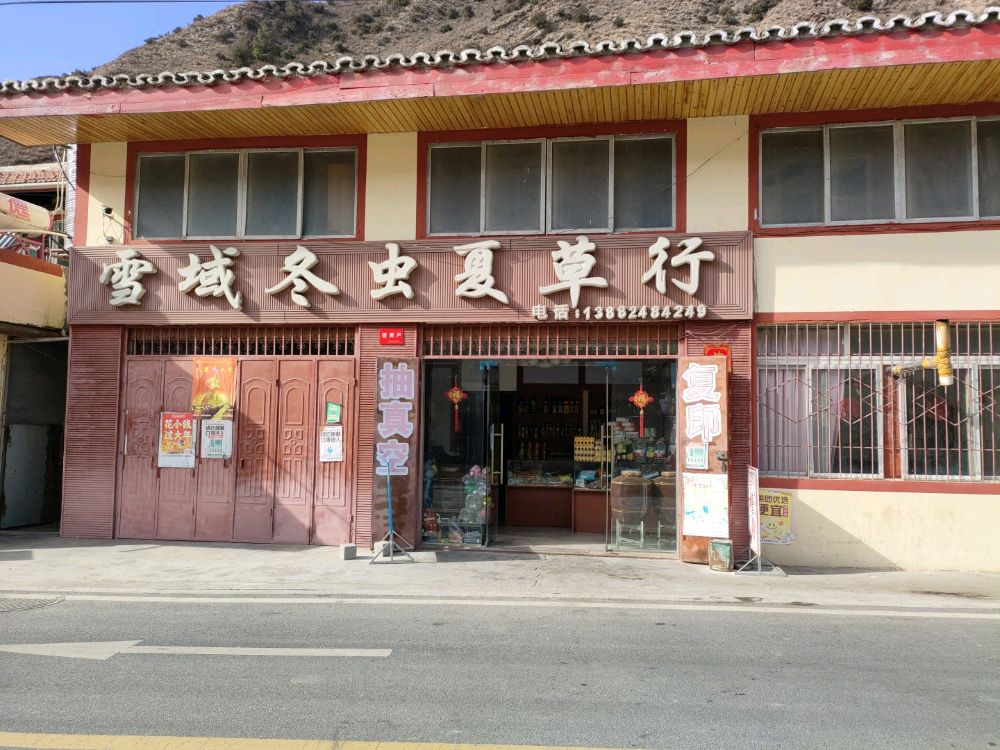 雪域冬虫夏草行