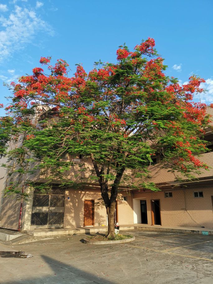 东莞市美臣智慧科技园