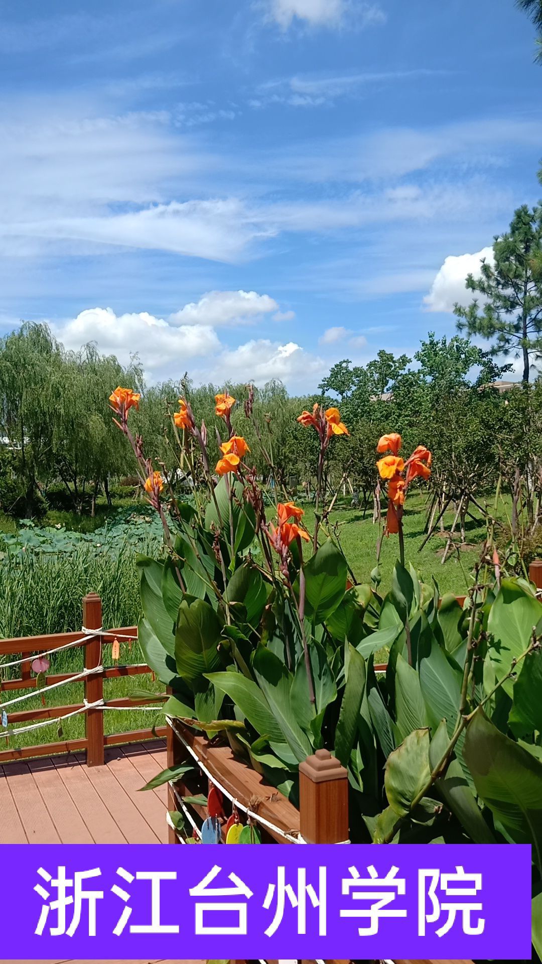 台州学院(椒江校区)