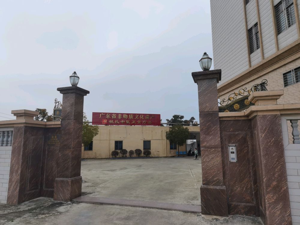 姚氏中医正骨疗法(广东省非物质文化遗产)