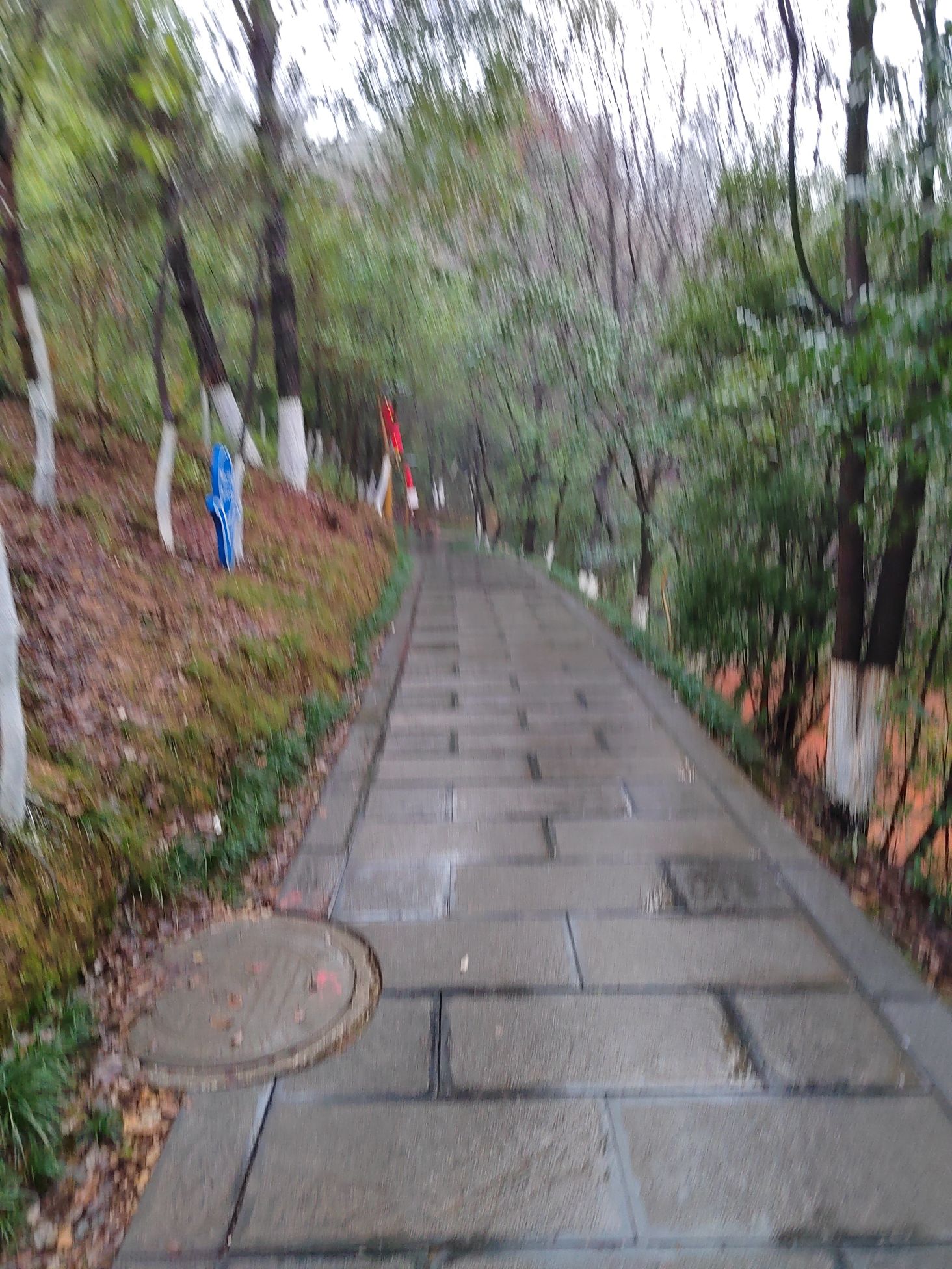 天保公园健走步道