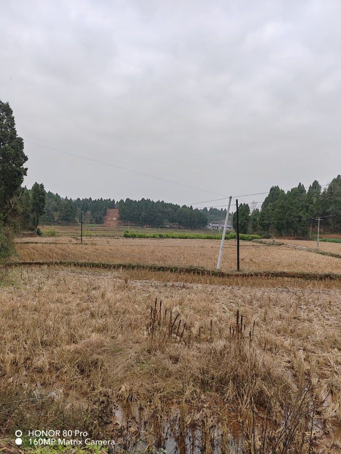 牟亭村