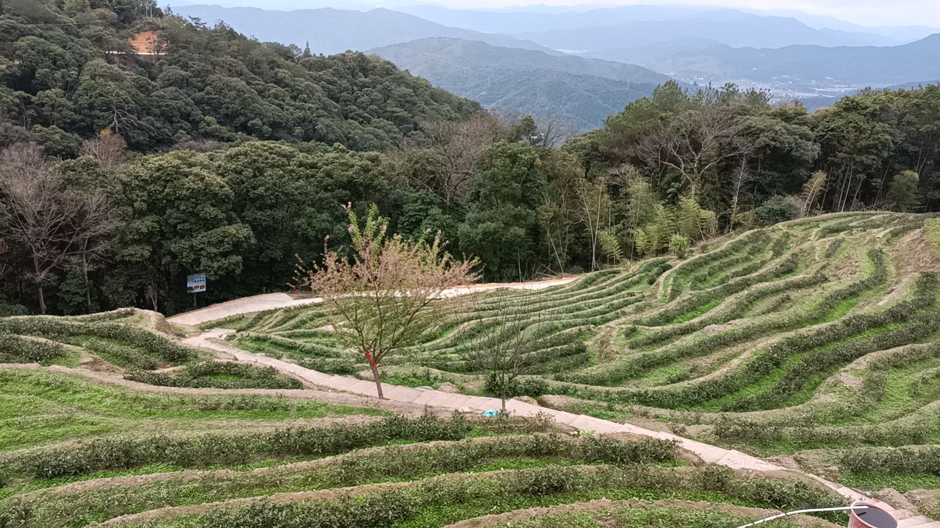 龙华山