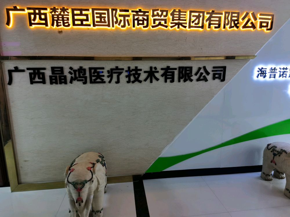 广西晶鸿医疗技术有限公司
