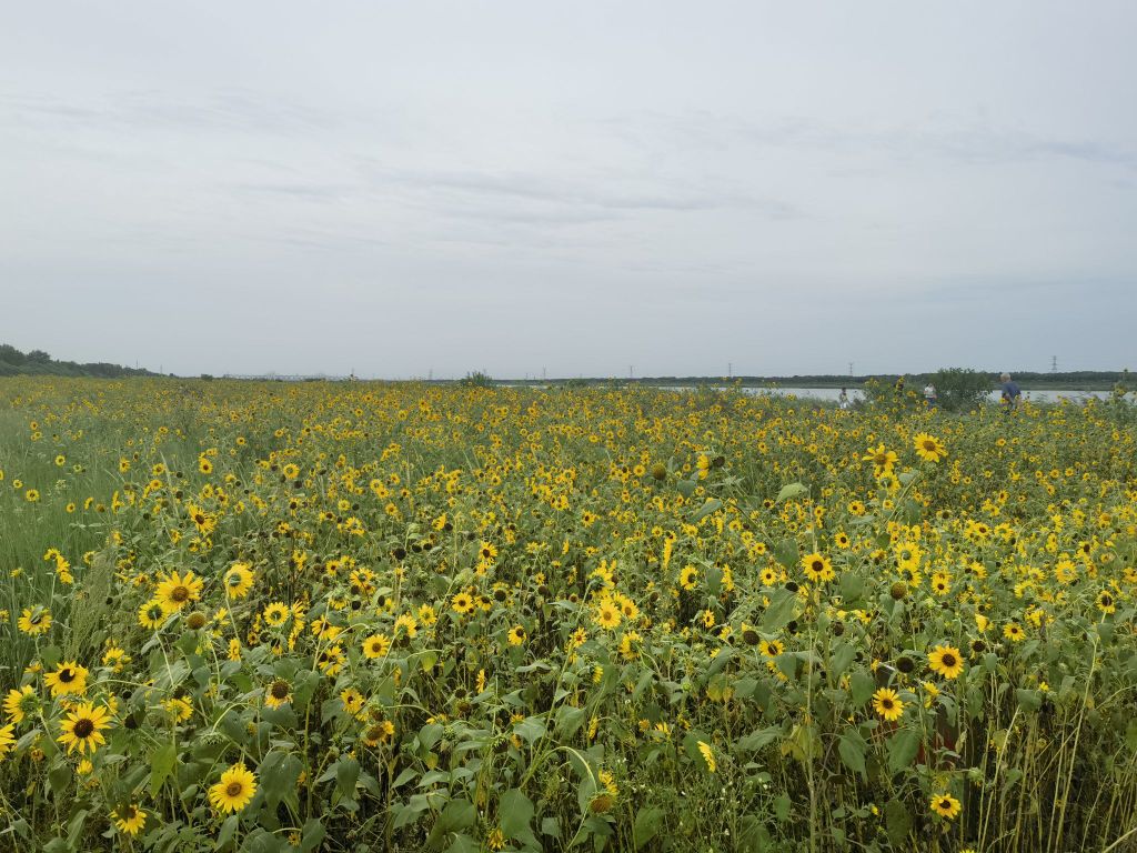 三河岛公园