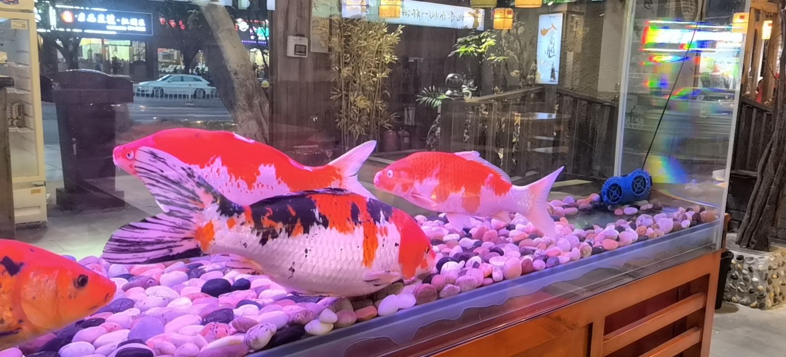 庆渔年鲜火锅(总店)