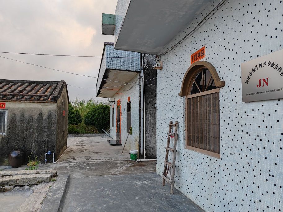 汕尾市金牛种养专业合作社