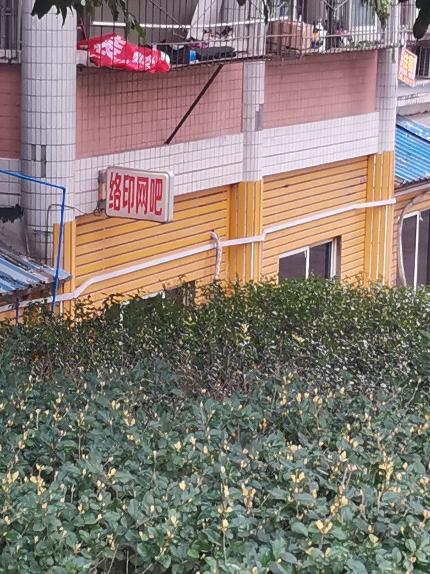 络印网吧