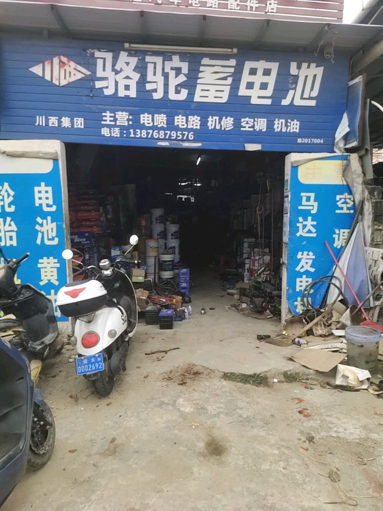 骆驼蓄电池(G223店)