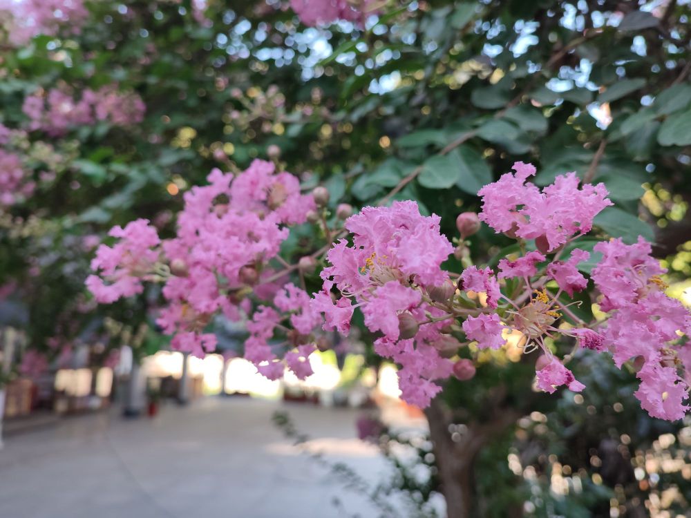 宁德漳湾灵鹫寺