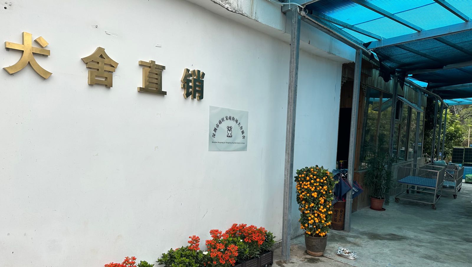 深圳萌旺萌宠犬舍狗场