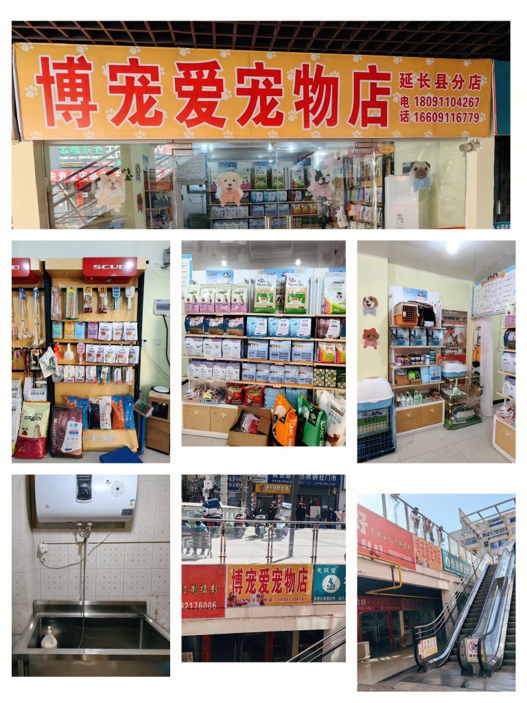 延长县博宠爱宠物店