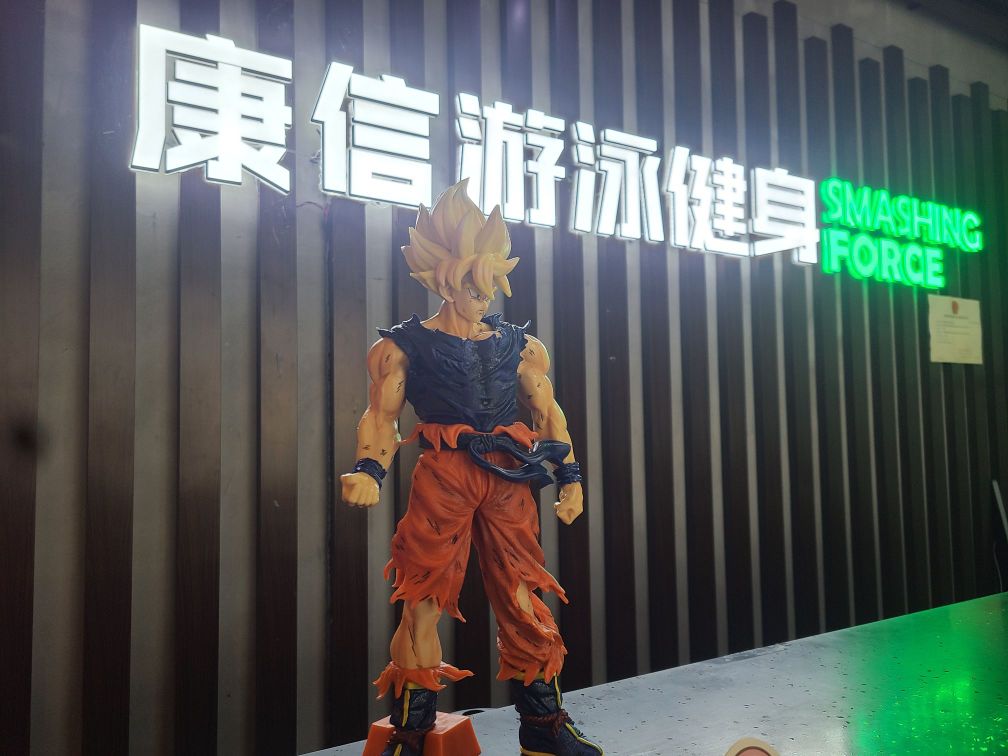 康舁信烙游泳健身