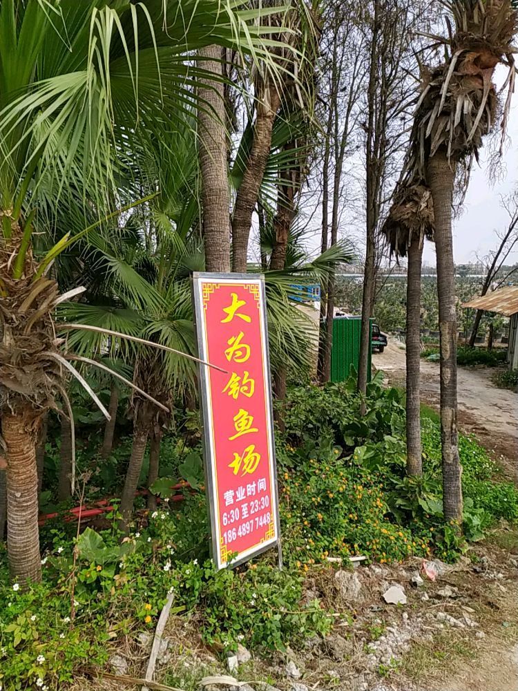 大为钓鱼场