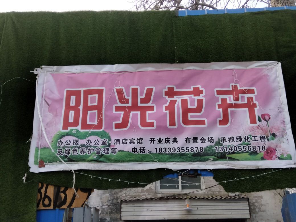 阳光花卉(站前路店)