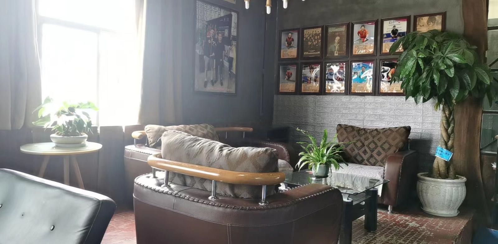 云乒乓球(北站店)