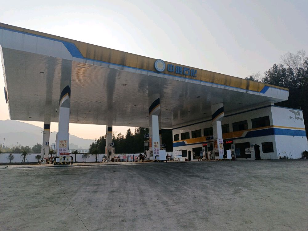 普安县中鸿石油化工有限公司东城区加油站