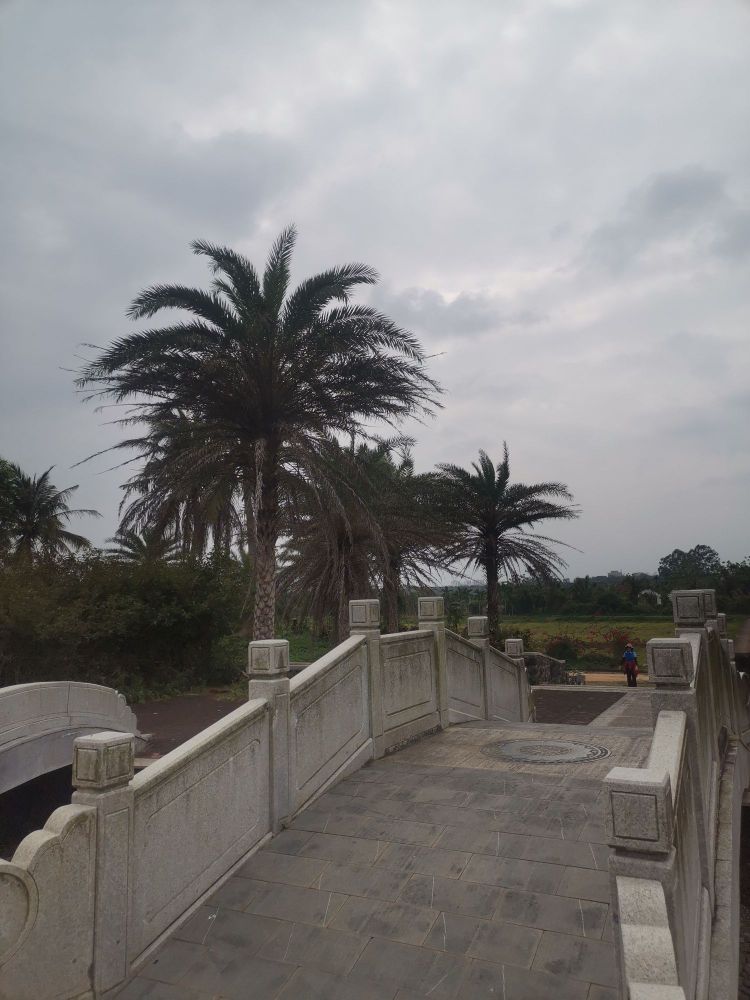 龙寿洋孔子广场