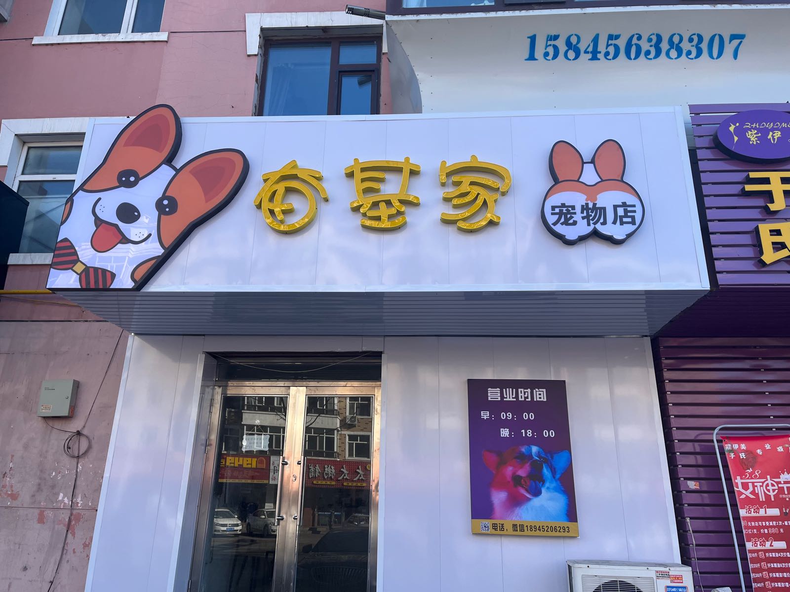 奋基家宠物店