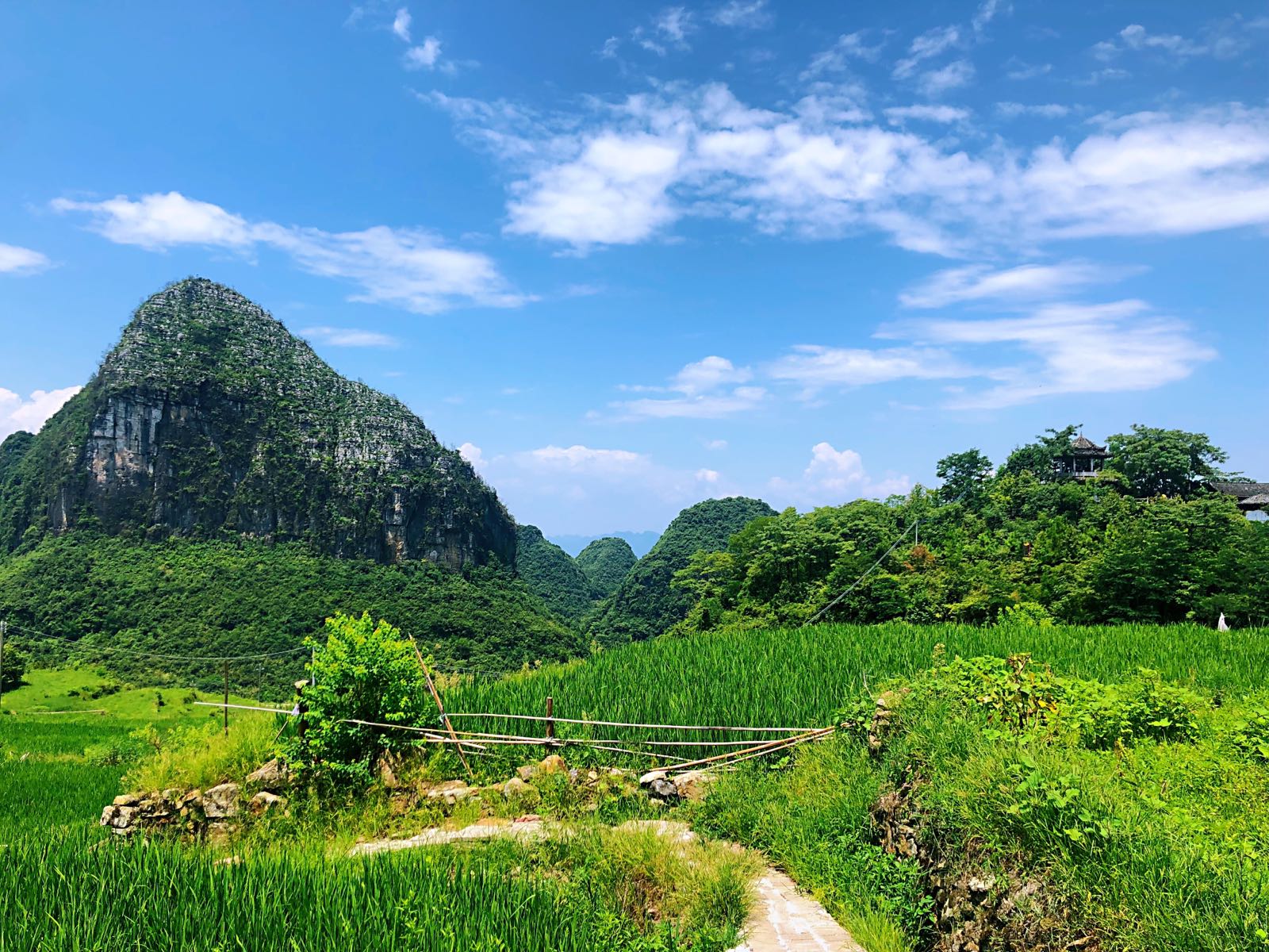 广宁县江屯镇新丰村