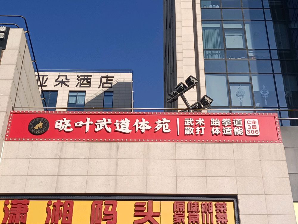 晓叶武道体苑(常营店)