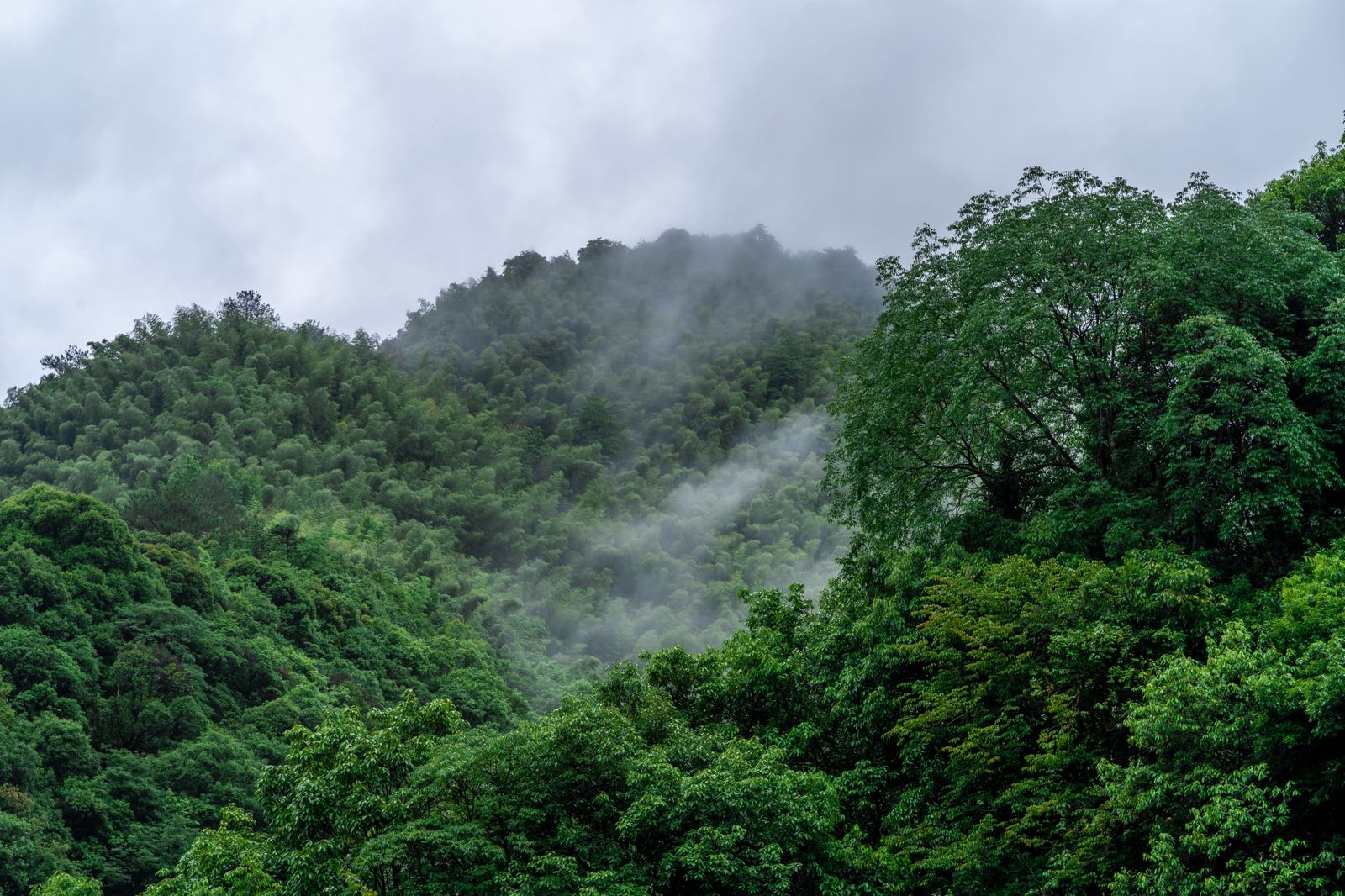 泾县桃岭·山居民宿