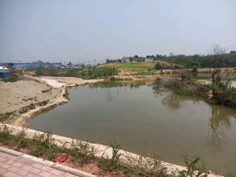 北湖园艺场休闲钓场