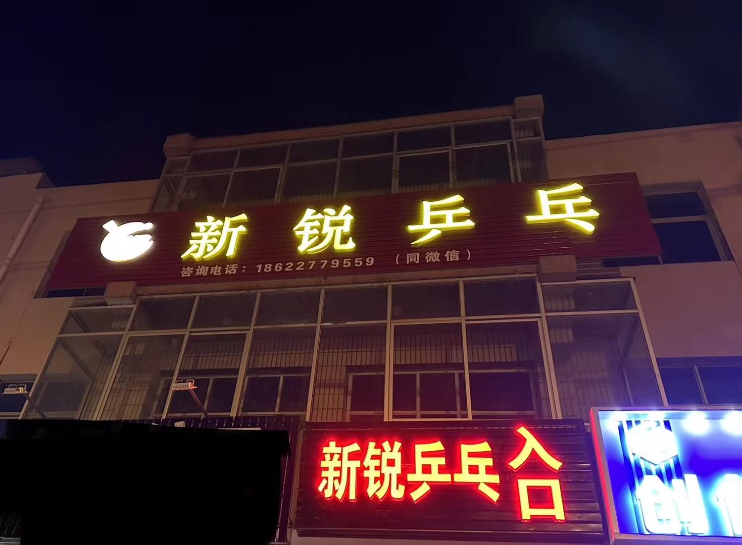 新锐乒乓球
