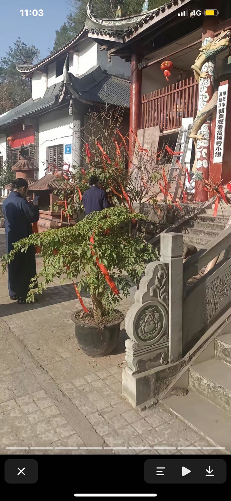 真觜朝观匀