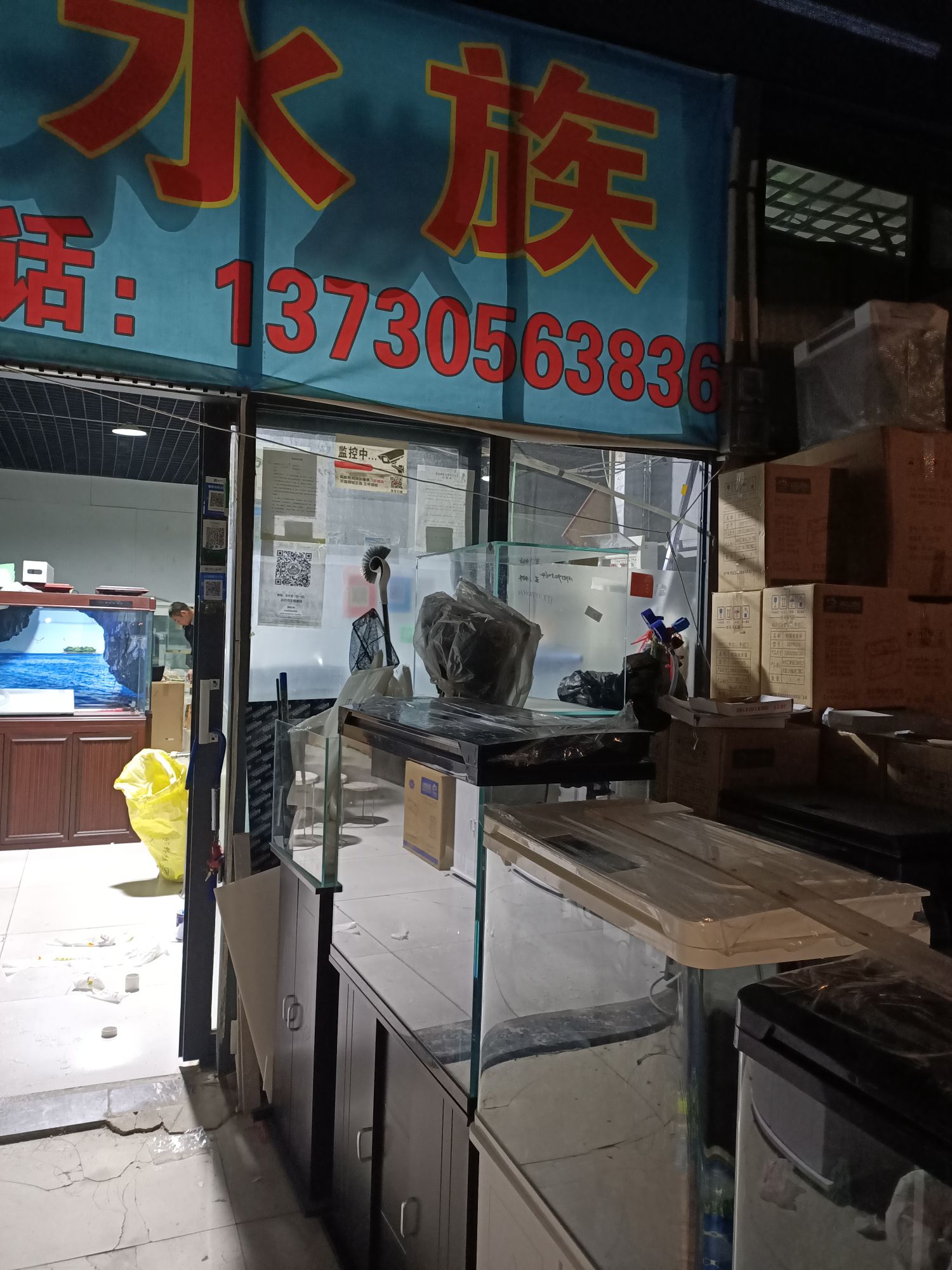 邢洲水族