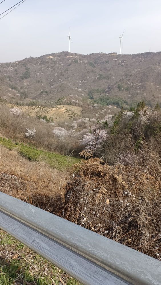 孤山寨