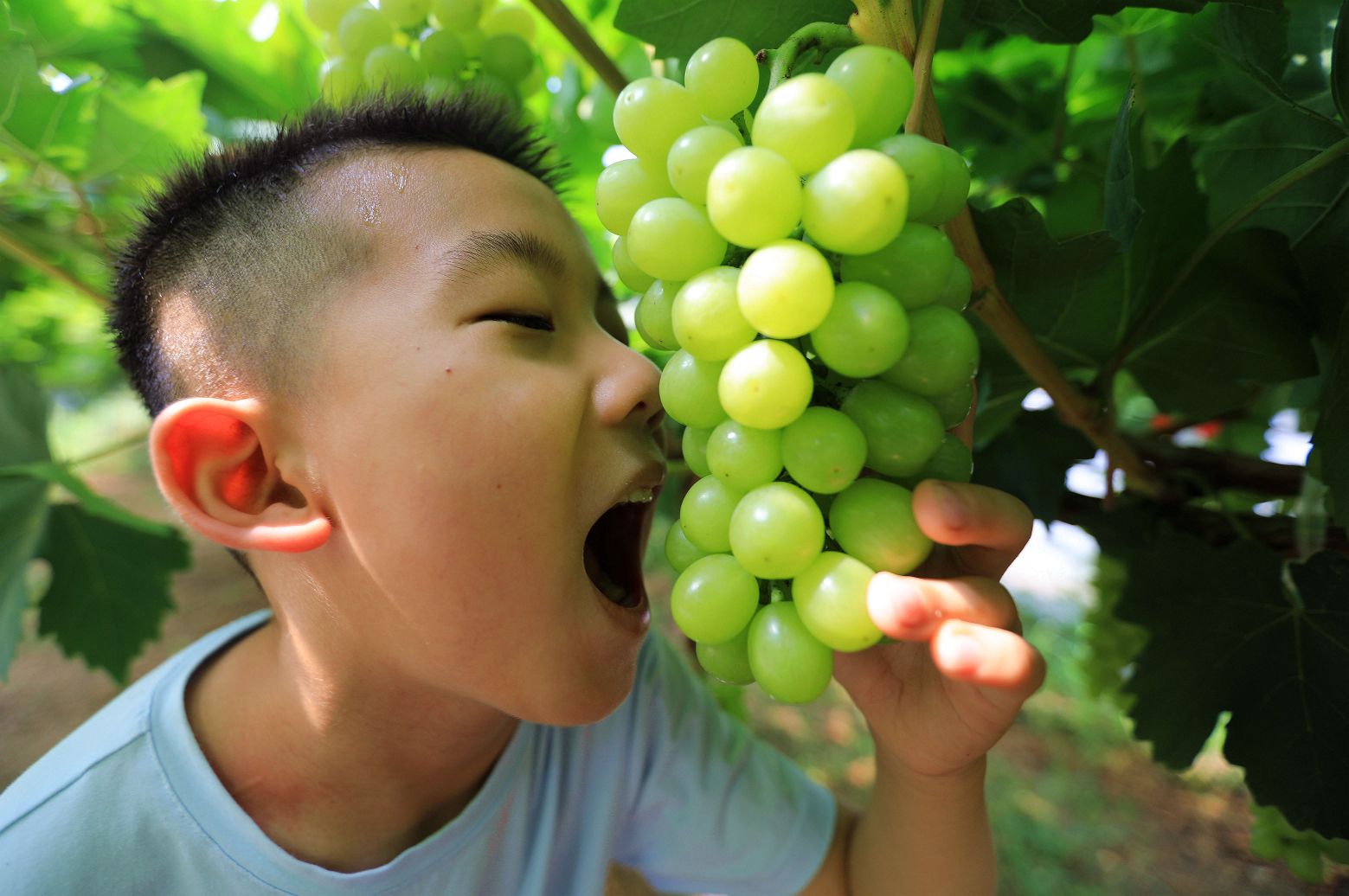 金谷珍果休闲百果园