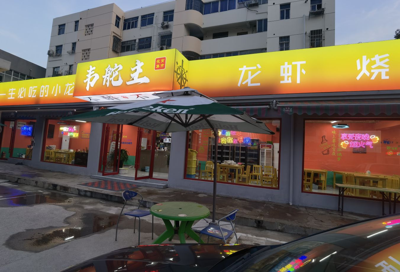 韦舵主小龙