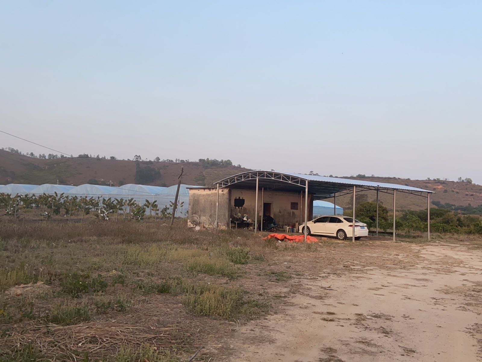 汕尾市华侨管理区辉煌果业有限公司