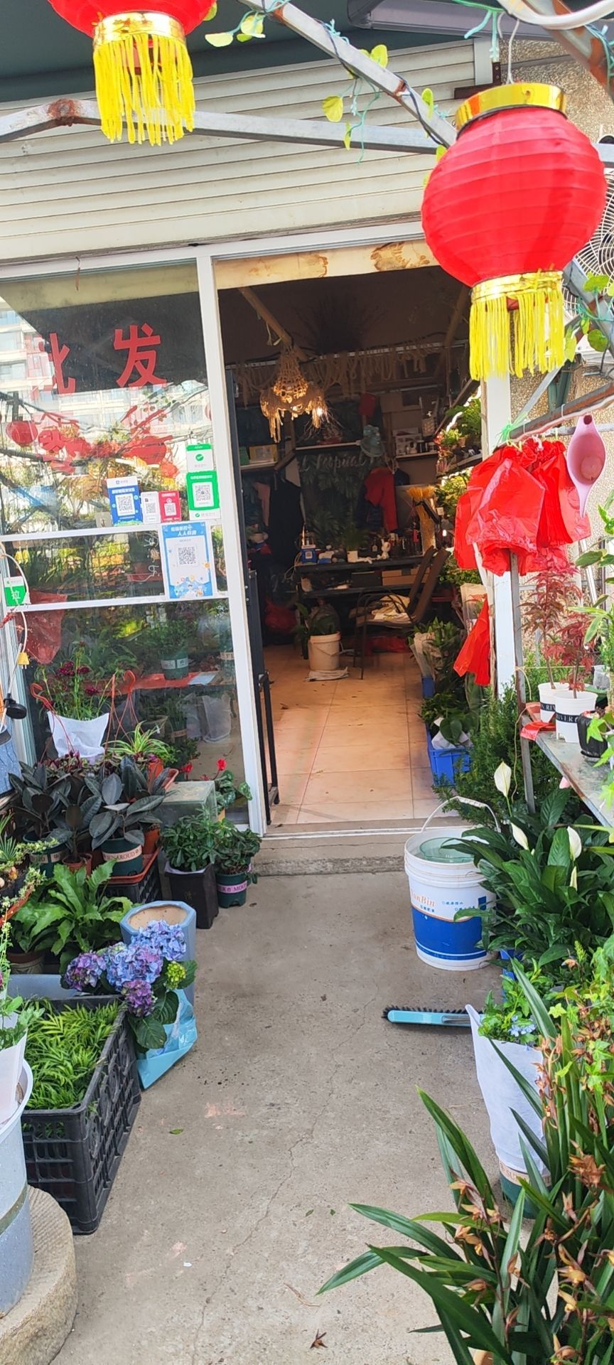 花时间花卉花木场