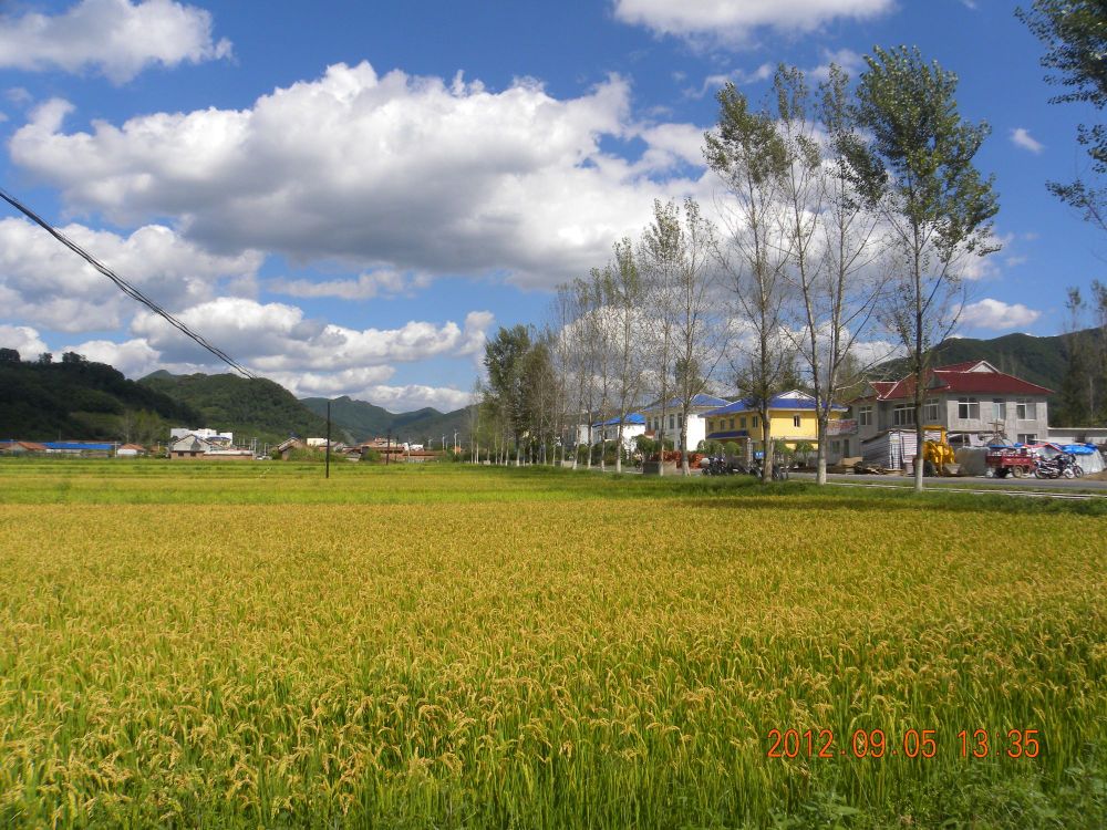 下甸子村