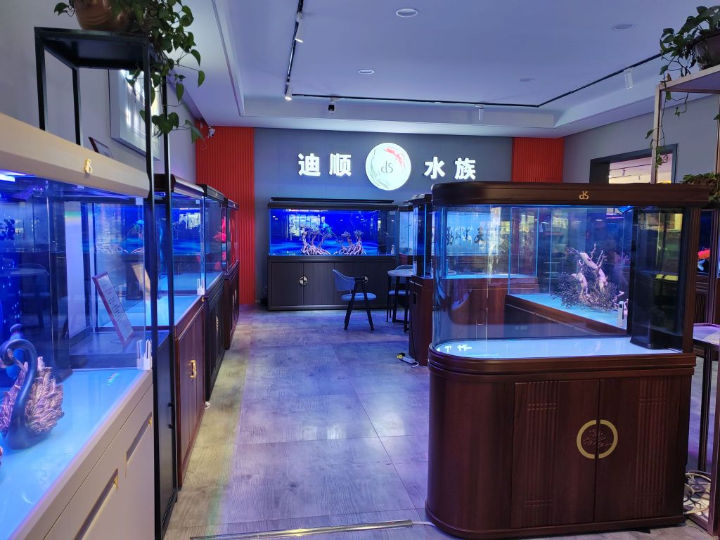 迪顺水族(红阳北大街店)
