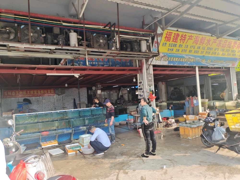 福建海鲜冻品批发商行