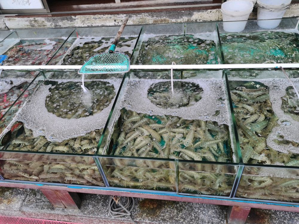 海之港平价海鲜城