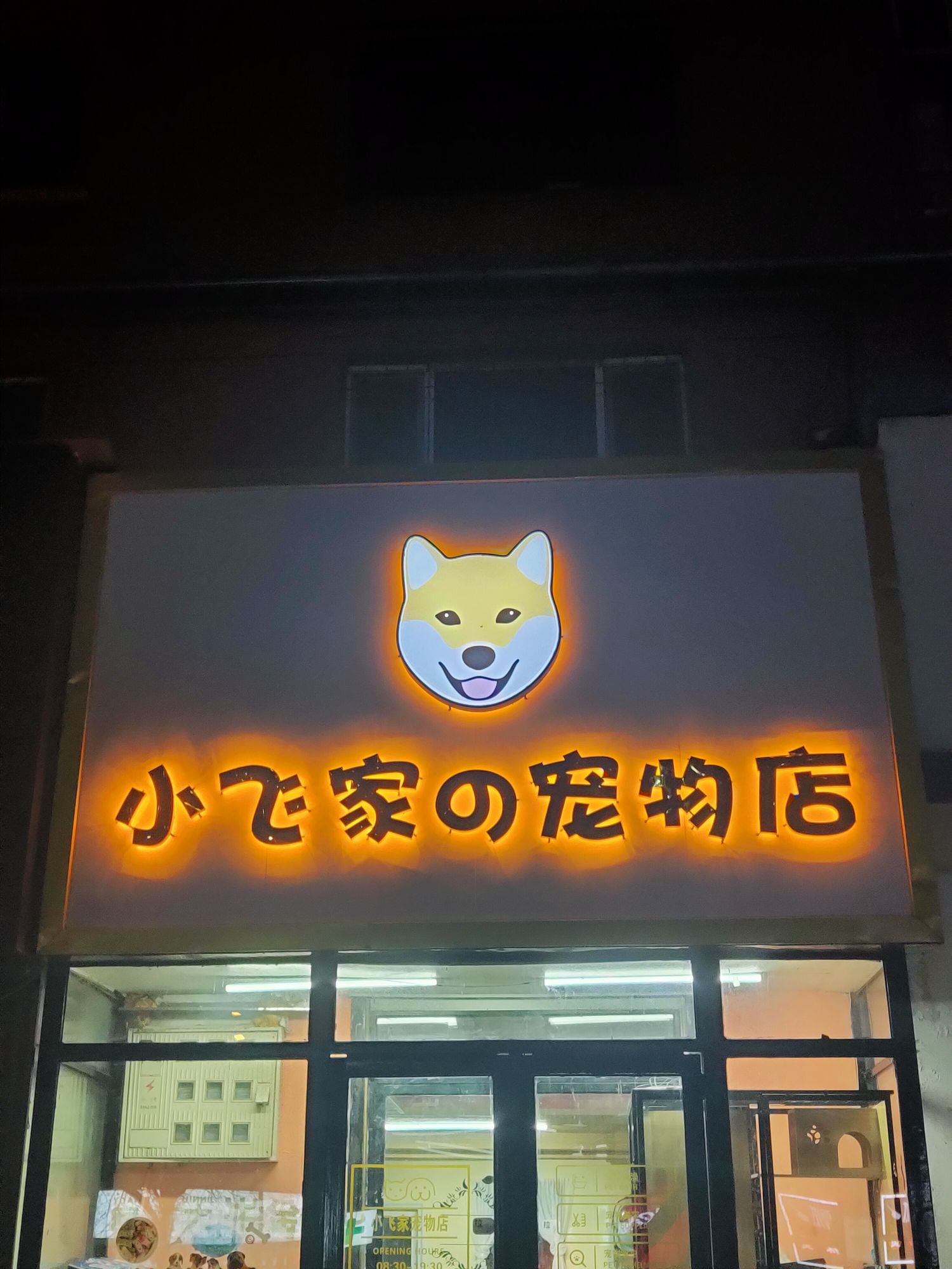 小飞家の宠物店