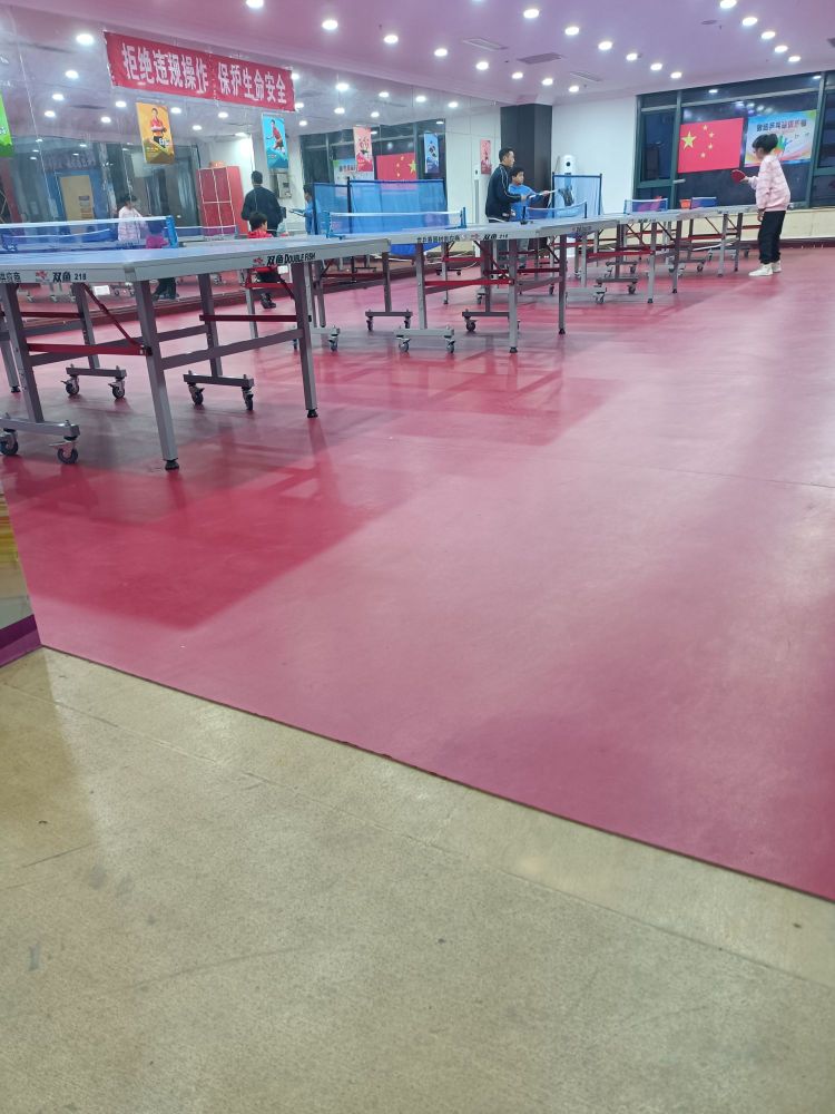致远乒乓球俱乐部(恒大雅苑店)