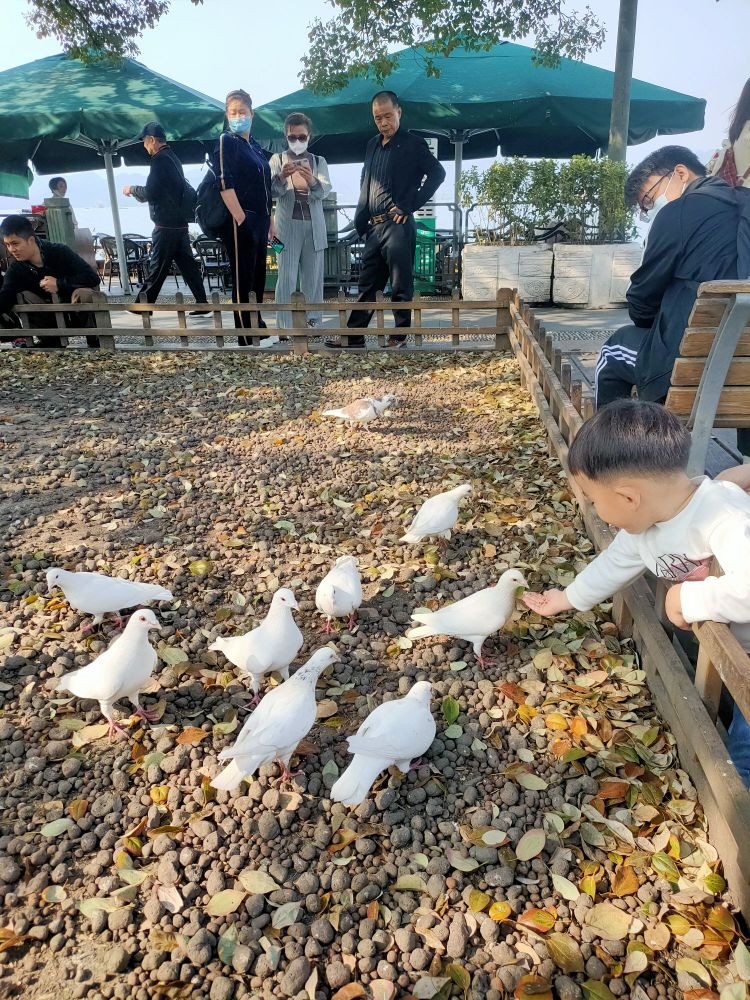 浙江省湖州市安吉县